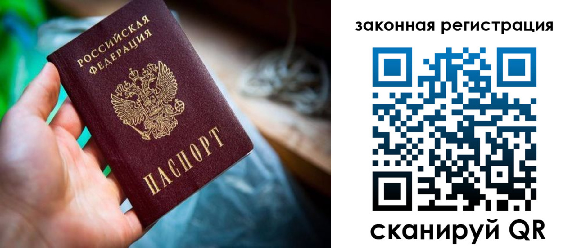 прописка в Красном Куте